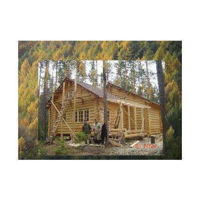 La filiera del legno: dal bosco alla casa